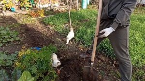 Работаем  с сыном? Богомолы и котики  с нами ??Работа и зарплата в магазинах? Живем на Кубани?