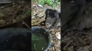 Внимание всем: НАЧАЛИ!