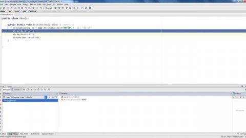 OCA Java SE 8 Programmer I. Creating and manipulating Strings. Training 10.