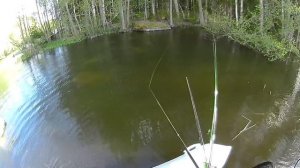 Универсальный свимбейт Savage Gear 3D Roach Shine Glider 180.