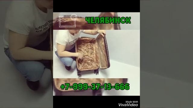 Чемодан Англия на колесах текстильный!Какой чемодан выбрать? Этот!