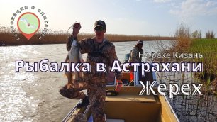 Рыбалка на реке Кизань. Ловля жереха. Рыбалка Астрахань