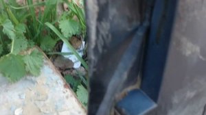 Ремонт бампера Шевроле Круз (Часть 2)