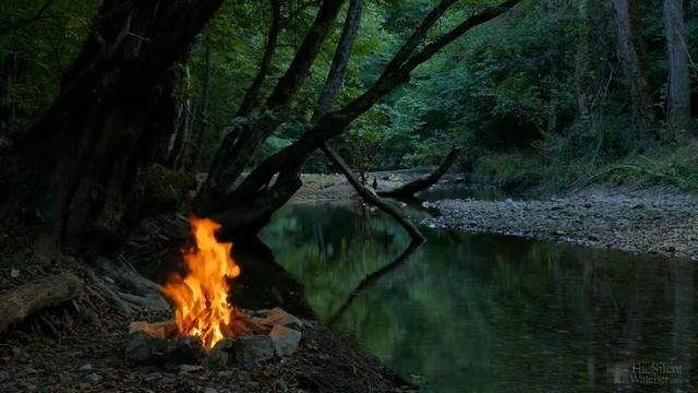 Когда сеять кукурузу в грунт? смотреть онлайн