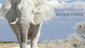 Эрнест Хемингуэй  Белые слоны