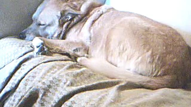 get smart movie themes смотреть онлайн