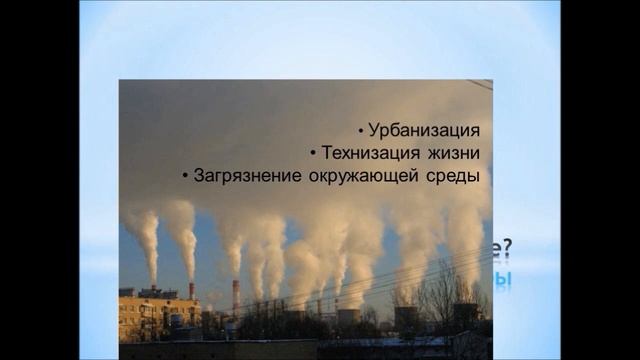 Лекция 
