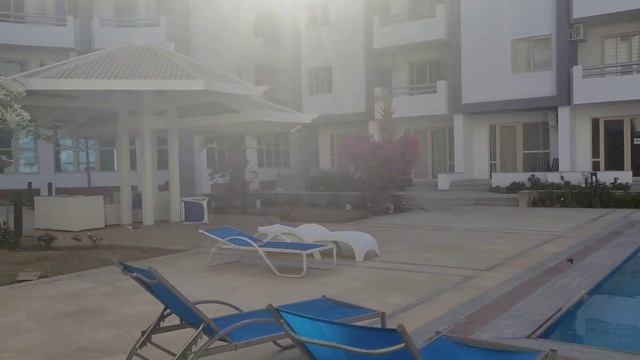 Много кошек на территории нашего компаунда в Хургаде...Твори Добро .... смотреть онлайн