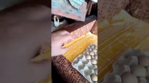 дезинфекция яйца цесарки