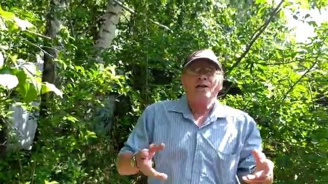 С праздником Семьи, любви и верности #соцполитикаонлайн смотреть онлайн