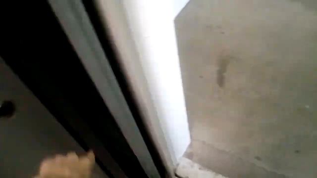 Лифты МЭЛ @ ЖК Некрасовка-Парк, Некрасовка, Москва, Россия