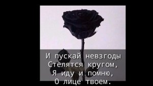 Стих любимой жене #2