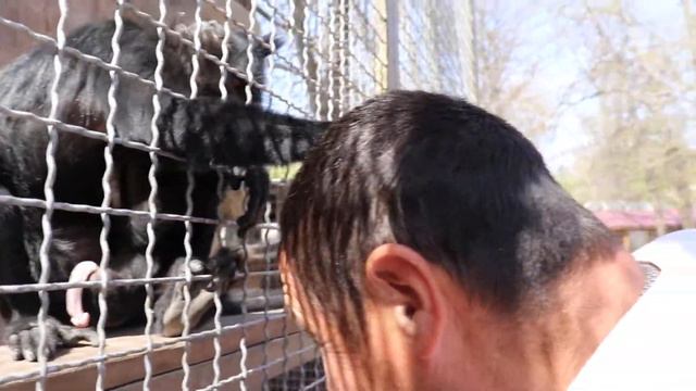 Ваша голова чистая! - Бахчисарайский парк миниатюр смотреть онлайн