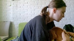 Расческа, щётка для вычесывания домашних животных! Вычесываем вечно линяющего кокер спаниеля ?