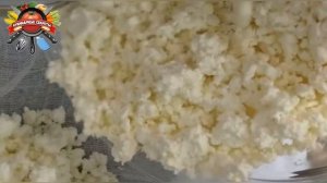 Почему сырники не прожариваются внутри: ошибка неопытных хозяек!