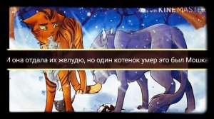 Коты - воители, история Синей Звезды