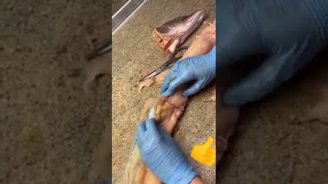 Фаршированная щука Оригинальная подача щуки Очень вкусно смотреть онлайн