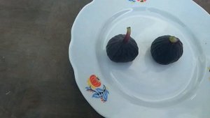Сорт инжира Буржасот черный, Черный поздний (Bourjassotte noire).