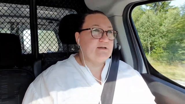 Любопытные коровы пришли на водопой. Коты манипуляторы. смотреть онлайн