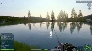 We Fished In The Grass Which Started a Rave in Ultimate Fishing Simulator!