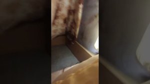 ДЕЛАЮ СЕБЕ НОРКУ/Квадробика