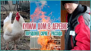 ? Купили дом в деревне _ Порядок в сарае _ #рассада
