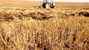 Глубокое рыхление на склонах. Белая глина, солонцы и прочие прелести