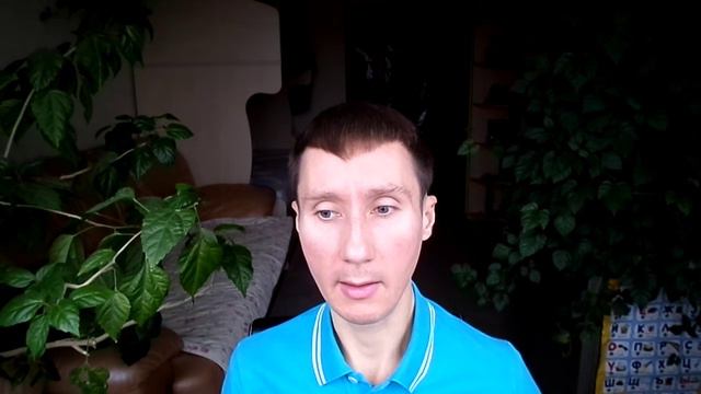 Нелнаро о Торсунове | Разногласия последователей духовных течений смотреть онлайн