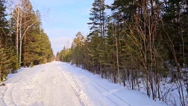 Нашли застрявшую машину в лесу. Нивоводческие движения смотреть онлайн