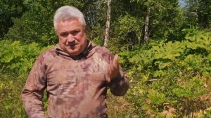 Борщевик - как избавиться от него навсегда? \ Главные методы борьбы на практике