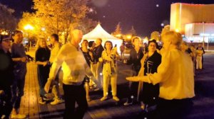 Белые тюльпаны... 13.09.24...