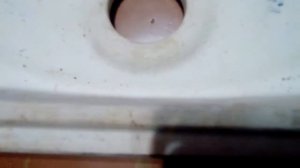 Крышка бачка унитаза