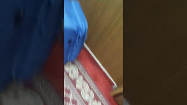 Захожу в корабль Демьян Бедный смотреть онлайн