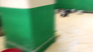 КОНТАКТНЫЙ ЗООПАРК / СТРАНА ЕНОТИЯ / ТЦ ТИТАН / 30.11.2019