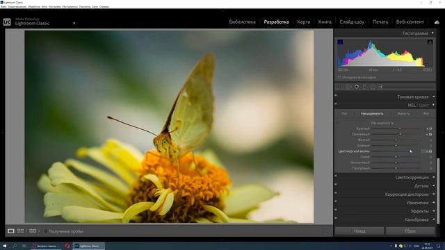 Обработка фото бабочки в Lightroom цветокоррекция в Lightroom
