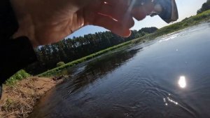 За ГОЛАВЛЕМ с КРУПНЫМИ КРЕНКАМИ!!!! Ловля голавля, щуки и окуня на кренки. Забродная рыбалка!