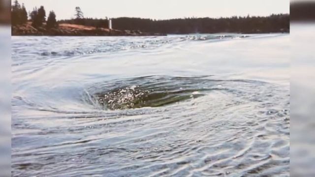 Что такое Суводь и почему там всегда стоит рыба? смотреть онлайн