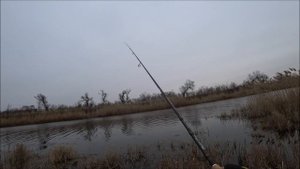 Спиннинг ранней весной на малой реке. Новинка Fishup Vipo и токио риг соблазняют щуку.