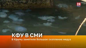 Телеканал «Крым 24». В эфире – Сергей Иванов