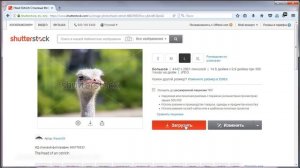 Как убрать водяные знаки с картинки в Photoshop, PDF, Microsoft Word