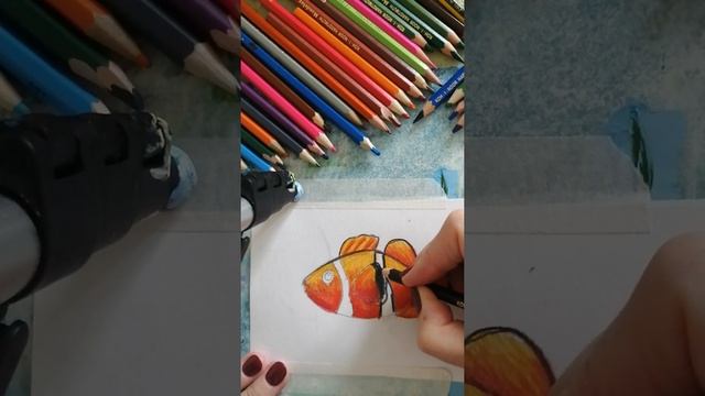 Как нарисовать  рыбку-клоун. Рисуем с детьми#рыбкаклоун#рисуемпоэтапно#рисуютдети#семья