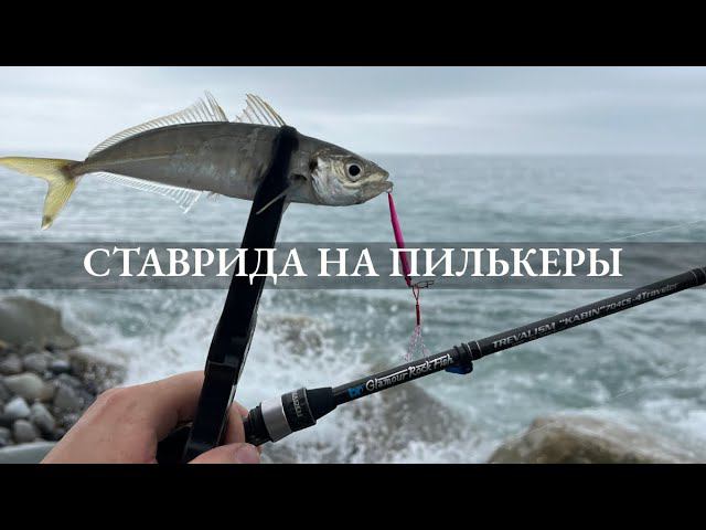 Ставрида на пилькеры + неожиданный бонус!!! Рыбалка в Сочи весной.