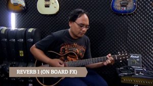 YAMAHA SLG200S NT Sound Demo (No Talk)