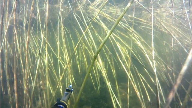 Подводная охота. Красоты Башкирии. Озеро Кандрыкуль. смотреть онлайн