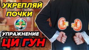 УКРЕПИ ПОЧКИ И ПОЛОВУЮ ФУНКЦИЮ. ЦИ ГУН