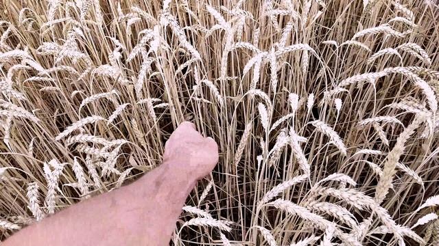  смотреть онлайн