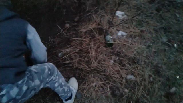 Едем в ельник! смотреть онлайн