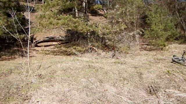 Первая бабочка 2015! смотреть онлайн