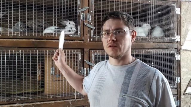 ?СОПЛИ У КРОЛИКА?! КАК ЛЕЧИТЬ?! смотреть онлайн