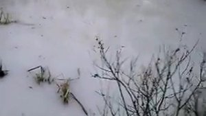 Внимание. Тонкий лёд! Или как люди тонут на хрупком льду.